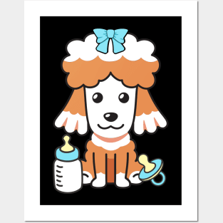 Cute poodle is a baby Posters and Art